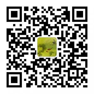 全球钓鱼策略微信公众号