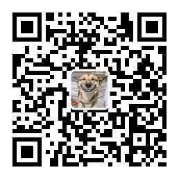 世界新奇笑视频大全微信公众号