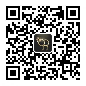 金盛二元期权交易微信公众号