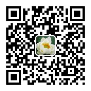 生活的智慧微信公众号