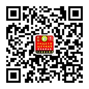 手机QQ名片赞空间人气留言微信公众号