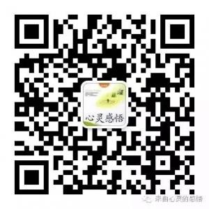 来自心灵的感悟微信公众号