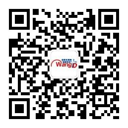 WangID全球互联网资微信公众号