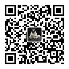 广告这么玩微信公众号