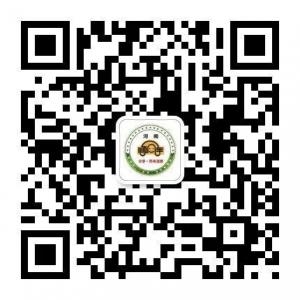 <b>河南顺风车公众平</b>微信公众号