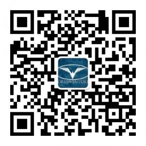 WV梦幻之旅兼职15万美金微信公众号