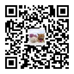 maomixiaodian123微信公众号