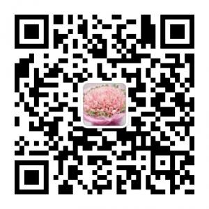 百汇鲜花速递微信公众号