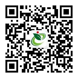 台湾青玉牛蒡茶微信公众号