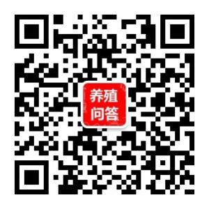 养殖问答网微信公众号