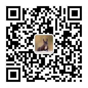 <b>松鼠饲养百科</b>微信公众号