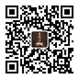 菩提心文玩微信公众号