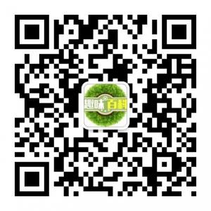 趣味儿百科微信公众号