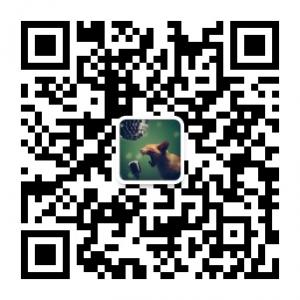 海南微娱乐微信公众号