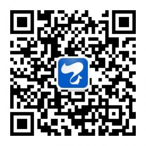 传信网络之文化篇微信公众号