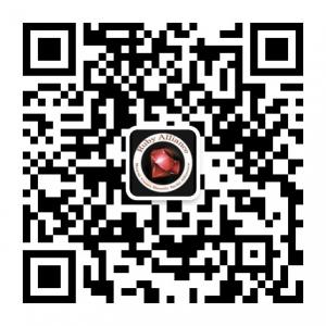 红宝石国际游艇联合会微信公众号