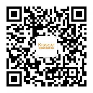 KISSCAT接吻猫微信公众号