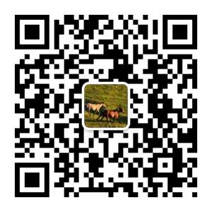 坝上草原神龙湖度微信公众号