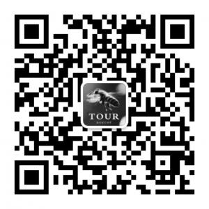 TOUR艺术旅行视界微信公众号