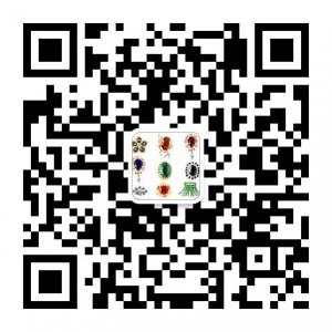 高端私人定制ZJ微信公众号