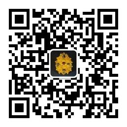 无饰不生花微信公众号