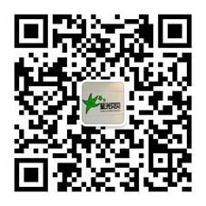 同安星光贝贝中韩专业儿童摄影微信公众号