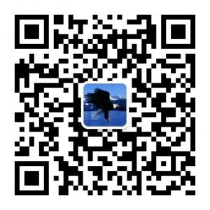 搞笑视频365天微信公众号
