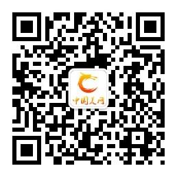 美网艺术家微信公众号