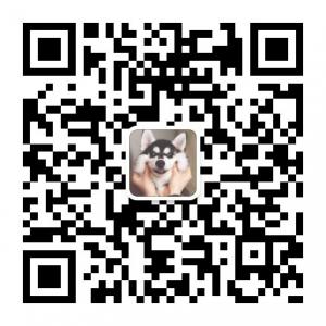 狂奔的哈士奇微信公众号