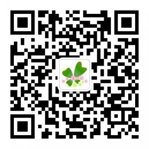 健康美丽e馆微信公众号