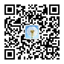 Team族数码旗舰店微信公众号