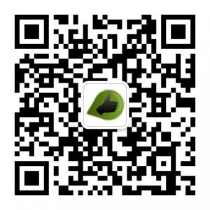 奇山网络工作室微信公众号