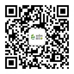 爱种网园艺微信公众号