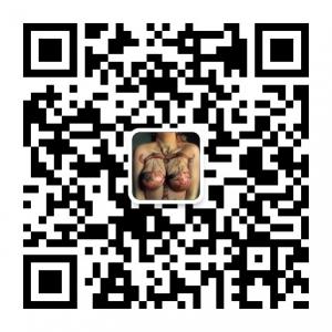 美女艺术之摄影微信公众号