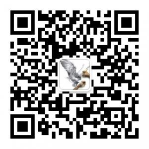 优尚创意设计微信公众号