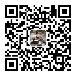 吃饭睡觉打酱油微信公众号