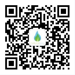 天然气投资咨询微信公众号