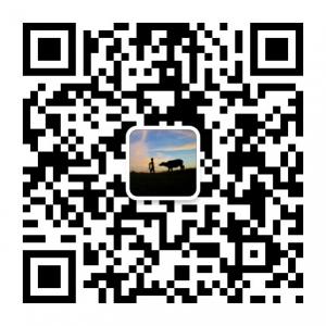 放牛娃解盘微信公众号