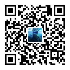 视野新看点微信公众号