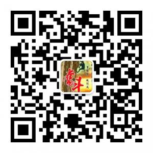 励志人生路微信公众号