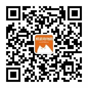鸸鹋动物园微信公众号