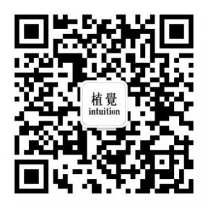 植觉intuition微信公众号