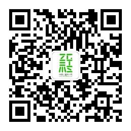 儿童美术网微信公众号