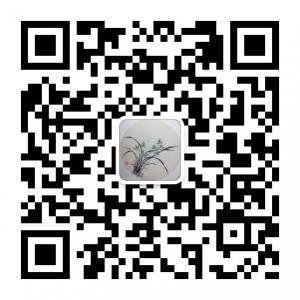 沂河生的文字园微信公众号