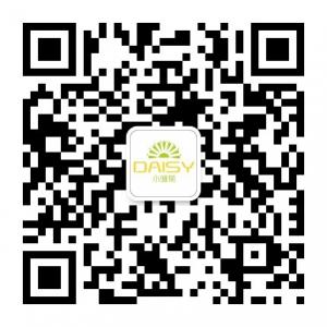 广州小雏菊微信公众号