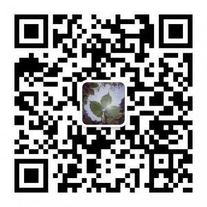 <b>摆渡人记录片创作</b>微信公众号