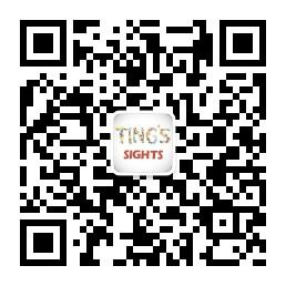 婷指的风景微信公众号