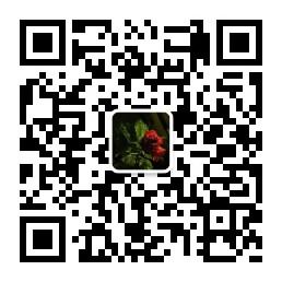 号外一整天微信公众号