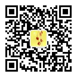 安安小宇宙微信公众号