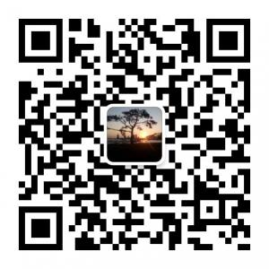 <b>梦无言花无语</b>微信公众号